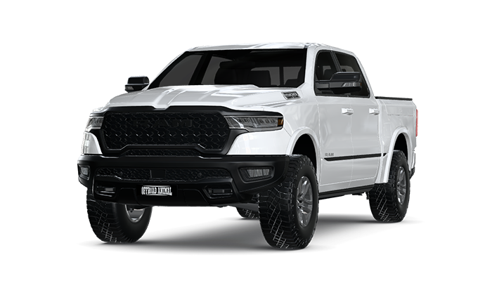 Ram DT